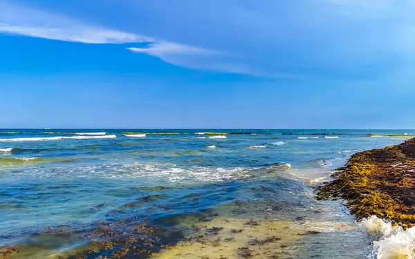 Playa del Carmen Mexico 'da turkuvaz mavisi tatil beldeleri ve palmiye ağaçları olan tropik Meksika Karayip plajı manzarası..