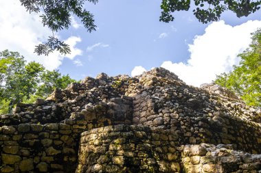 Coba Maya, Coba Belediyesi Tulum Quintana Roo Mexico 'daki tropikal orman ormanlarında antik binaların piramitlerini ve top oyununu mahvediyor..