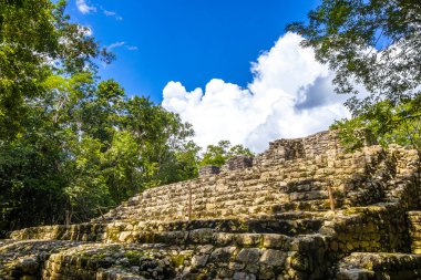 Coba Maya, Coba Belediyesi Tulum Quintana Roo Mexico 'daki tropikal orman ormanlarında antik binaların piramitlerini ve top oyununu mahvediyor..
