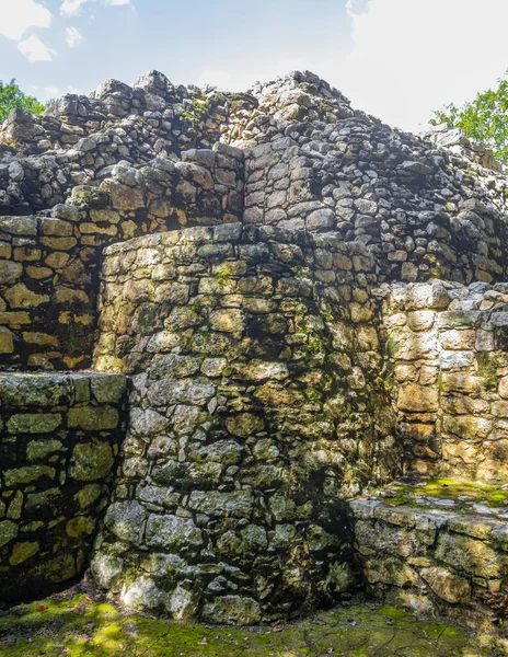 Coba Maya, Coba Belediyesi Tulum Quintana Roo Mexico 'daki tropikal orman ormanlarında antik binaların piramitlerini ve top oyununu mahvediyor..