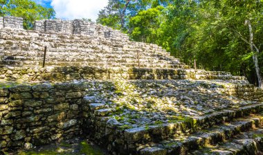 Coba Maya, Coba Belediyesi Tulum Quintana Roo Mexico 'daki tropikal orman ormanlarında antik binaların piramitlerini ve top oyununu mahvediyor..