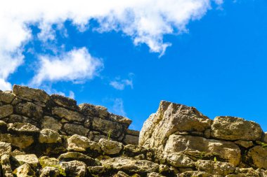 Coba Maya, Coba Belediyesi Tulum Quintana Roo Mexico 'daki tropikal orman ormanlarında antik binaların piramitlerini ve top oyununu mahvediyor..