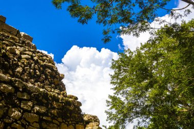 Coba Maya, Coba Belediyesi Tulum Quintana Roo Mexico 'daki tropikal orman ormanlarında antik binaların piramitlerini ve top oyununu mahvediyor..