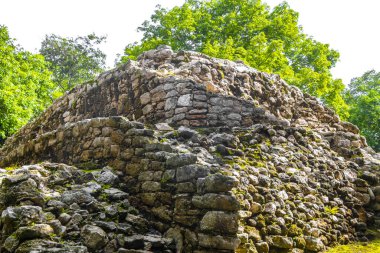 Coba Maya, Coba Belediyesi Tulum Quintana Roo Mexico 'daki tropikal orman ormanlarındaki antik binaları ve piramitleri harap ediyor..