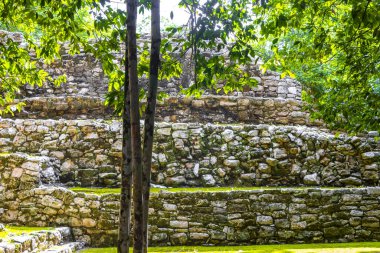 Coba Maya, Coba Belediyesi Tulum Quintana Roo Mexico 'daki tropikal orman ormanlarındaki antik binaları ve piramitleri harap ediyor..