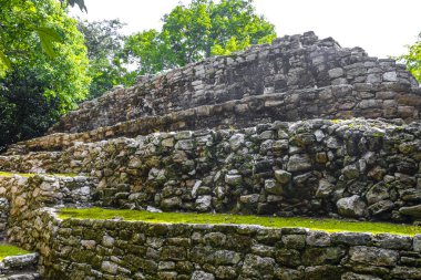 Coba Maya, Coba Belediyesi Tulum Quintana Roo Mexico 'daki tropikal orman ormanlarındaki antik binaları ve piramitleri harap ediyor..