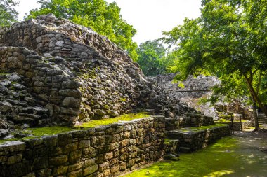 Coba Maya, Coba Belediyesi Tulum Quintana Roo Mexico 'daki tropikal orman ormanlarındaki antik binaları ve piramitleri harap ediyor..