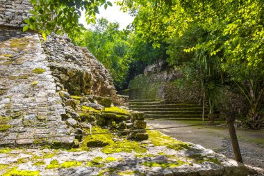 Coba Maya, Coba Belediyesi Tulum Quintana Roo Mexico 'daki tropikal orman ormanlarındaki antik binaları ve piramitleri harap ediyor..