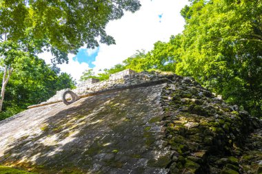 Coba Maya, Coba Belediyesi Tulum Quintana Roo Mexico 'daki tropikal orman ormanlarındaki antik binaları ve piramitleri harap ediyor..