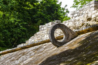 Coba Maya, Coba Belediyesi Tulum Quintana Roo Mexico 'daki tropikal orman ormanlarındaki antik binaları ve piramitleri harap ediyor..