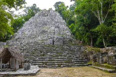 Coba Maya, Coba Belediyesi Tulum Quintana Roo Mexico 'daki tropikal orman ormanlarındaki antik binaları ve piramitleri harap ediyor..