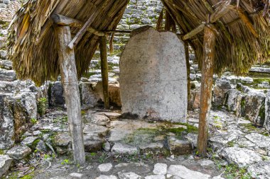 Yazı tipi paneli ve Coba Maya 'daki bilgiler Coba Belediyesi Tulum Quintana Roo Mexico' daki tropikal orman ormanlarındaki antik binaları ve piramitleri harap ediyor..