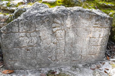 Yazı tipi paneli ve Coba Maya 'daki bilgiler Coba Belediyesi Tulum Quintana Roo Mexico' daki tropikal orman ormanlarındaki antik binaları ve piramitleri harap ediyor..