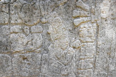 Yazı tipi paneli ve Coba Maya 'daki bilgiler Coba Belediyesi Tulum Quintana Roo Mexico' daki tropikal orman ormanlarındaki antik binaları ve piramitleri harap ediyor..