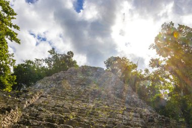 Coba Maya, Coba Belediyesi Tulum Quintana Roo Mexico 'daki tropikal orman ormanlarındaki antik binaları ve piramitleri harap ediyor..