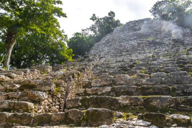 Coba Maya, Coba Belediyesi Tulum Quintana Roo Mexico 'daki tropikal orman ormanlarındaki antik binaları ve piramitleri harap ediyor..