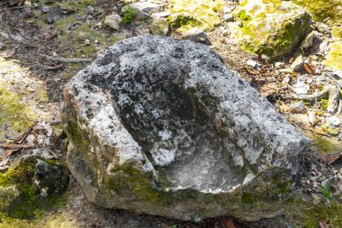 Coba Maya 'da bulunan eşyalar Coba Belediyesi' nin tropikal ormanı Tulum Quintana Roo Mexico 'daki antik binaları ve piramitleri harap ediyor..