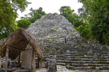 Coba Maya, Coba Belediyesi Tulum Quintana Roo Mexico 'daki tropikal orman ormanlarındaki antik binaları ve piramitleri harap ediyor..