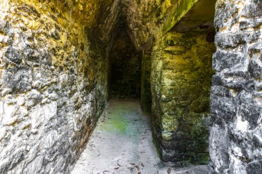 Coba Maya, Coba Belediyesi Tulum Quintana Roo Mexico 'daki tropikal orman ormanlarındaki antik binaları ve piramitleri harap ediyor..