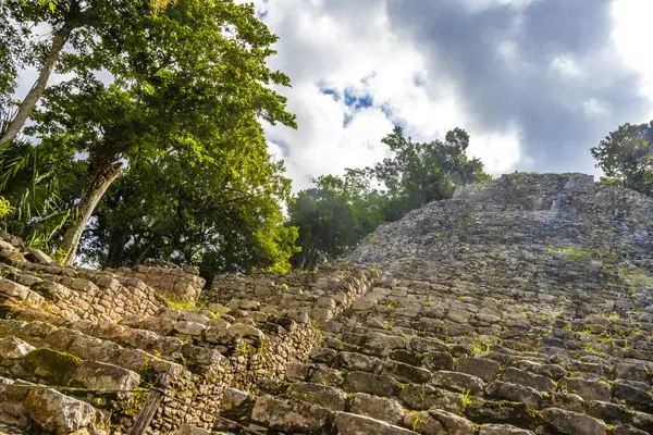 Coba Maya, Coba Belediyesi Tulum Quintana Roo Mexico 'daki tropikal orman ormanlarındaki antik binaları ve piramitleri harap ediyor..