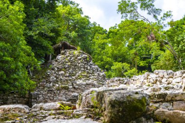 Coba Maya, Coba Belediyesi Tulum Quintana Roo Mexico 'daki tropikal orman ormanlarındaki antik binaları ve piramitleri harap ediyor..