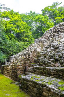 Coba Maya, Coba Belediyesi Tulum Quintana Roo Mexico 'daki tropikal orman ormanlarındaki antik binaları ve piramitleri harap ediyor..