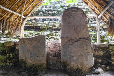 Coba Maya, Coba Belediyesi Tulum Quintana Roo Mexico 'daki tropikal orman ormanlarındaki antik binaları ve piramitleri harap ediyor..