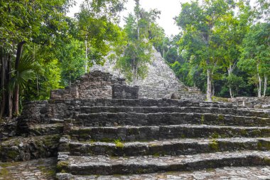 Coba Maya, Coba Belediyesi Tulum Quintana Roo Mexico 'daki tropikal orman ormanlarındaki antik binaları ve piramitleri harap ediyor..