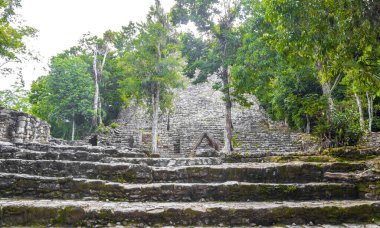 Coba Maya, Coba Belediyesi Tulum Quintana Roo Mexico 'daki tropikal orman ormanlarındaki antik binaları ve piramitleri harap ediyor..