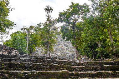 Coba Maya, Coba Belediyesi Tulum Quintana Roo Mexico 'daki tropikal orman ormanlarındaki antik binaları ve piramitleri harap ediyor..
