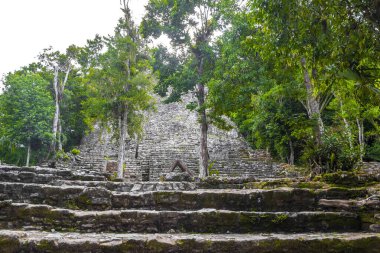 Coba Maya, Coba Belediyesi Tulum Quintana Roo Mexico 'daki tropikal orman ormanlarındaki antik binaları ve piramitleri harap ediyor..