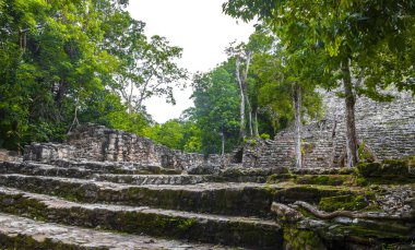 Coba Maya, Coba Belediyesi Tulum Quintana Roo Mexico 'daki tropikal orman ormanlarındaki antik binaları ve piramitleri harap ediyor..