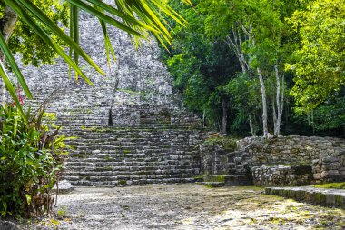 Coba Maya, Coba Belediyesi Tulum Quintana Roo Mexico 'daki tropikal orman ormanlarındaki antik binaları ve piramitleri harap ediyor..