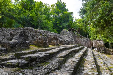 Coba Maya, Coba Belediyesi Tulum Quintana Roo Mexico 'daki tropikal orman ormanlarındaki antik binaları ve piramitleri harap ediyor..