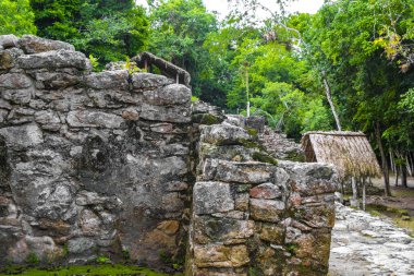 Coba Maya, Coba Belediyesi Tulum Quintana Roo Mexico 'daki tropikal orman ormanlarındaki antik binaları ve piramitleri harap ediyor..