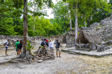 Tulum Quintana Roo Meksika 01. Ekim 2023 Coba Maya 'da turizm turizmi Coba Belediyesi Tulum Mexico' daki tropikal orman ormanlarındaki antik bina ve piramitleri harap ediyor..