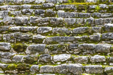 Coba Maya, Coba Belediyesi Tulum Quintana Roo Mexico 'daki tropikal orman ormanlarındaki antik binaları ve piramitleri harap ediyor..