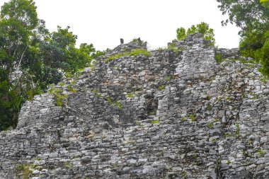 Coba Maya, Coba Belediyesi Tulum Quintana Roo Mexico 'daki tropikal orman ormanlarındaki antik binaları ve piramitleri harap ediyor..