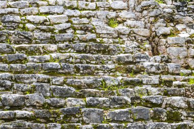 Coba Maya, Coba Belediyesi Tulum Quintana Roo Mexico 'daki tropikal orman ormanlarındaki antik binaları ve piramitleri harap ediyor..