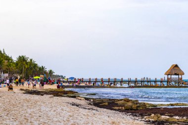 Playa del Carmen Quintana Roo Meksika 14. Ağustos 2023 Pampa ve Playa Xcalacoco Playa del Carmen Mexico 'daki Palapa bungalovu ile berrak turkuaz mavi su ve iskeleli Meksika tropikal karayip sahili manzarası..