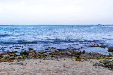 Playa del Carmen Quintana Roo Meksika sahilindeki turkuaz yeşil ve mavi sularda kayalar ve mercanlar..