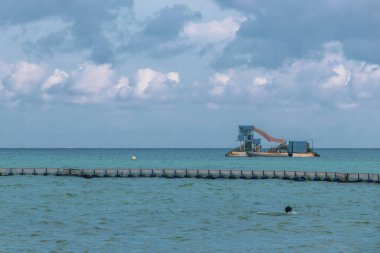 Sargazo yosunlu deniz yosunu tuzağı avcılarının Playa del Carmen Meksika 'da turkuaz mavi sularda yüzdüğü tropik Meksika Karayip plajı..