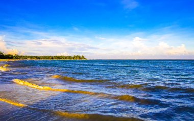 Playa del Carmen Mexico 'da turkuaz mavi su tatil beldeleri ve palmiye ağaçlarıyla tropikal Meksika Karayip Sahili manzarasında muhteşem ve renkli gün batımı..