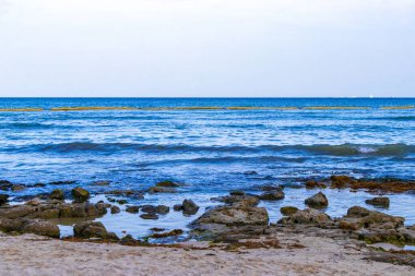Playa del Carmen Quintana Roo Meksika sahilindeki turkuaz yeşil ve mavi sularda kayalar ve mercanlar..