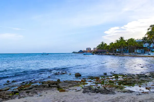 Playa del Carmen Quintana Roo Meksika sahilindeki turkuaz yeşil ve mavi sularda kayalar ve mercanlar..