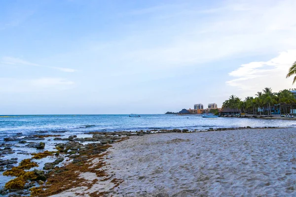 Stones rocks and corals with seagrass seaweed sargazo in turquoise green and blue water on the beach in Playa del Carmen Quintana Roo Mexico.