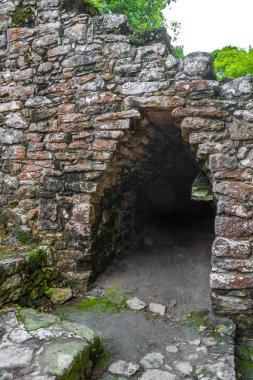 Coba Maya, Coba Belediyesi Tulum Quintana Roo Mexico 'daki tropikal orman ormanlarındaki antik binaları ve piramitleri harap ediyor..