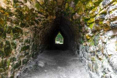Coba Maya, Coba Belediyesi Tulum Quintana Roo Mexico 'daki tropikal orman ormanlarındaki antik binaları ve piramitleri harap ediyor..