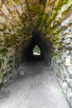 Coba Maya, Coba Belediyesi Tulum Quintana Roo Mexico 'daki tropikal orman ormanlarındaki antik binaları ve piramitleri harap ediyor..