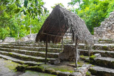 Coba Maya, Coba Belediyesi Tulum Quintana Roo Mexico 'daki tropikal orman ormanlarındaki antik binaları ve piramitleri harap ediyor..